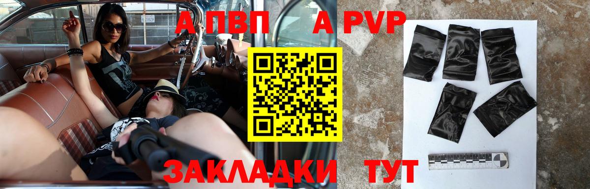 A-PVP СК Дмитров