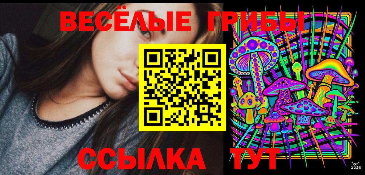 Галлюциногенные грибы Magic Shrooms  Галлюциногенные грибы мицелий  Вход с VPN  Дмитров 